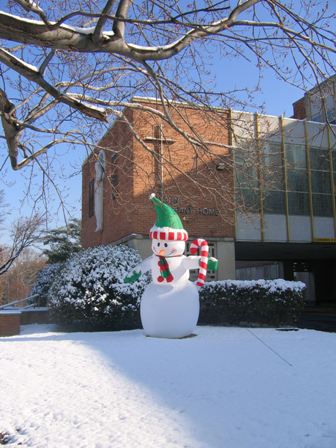 Frosty on the lawn